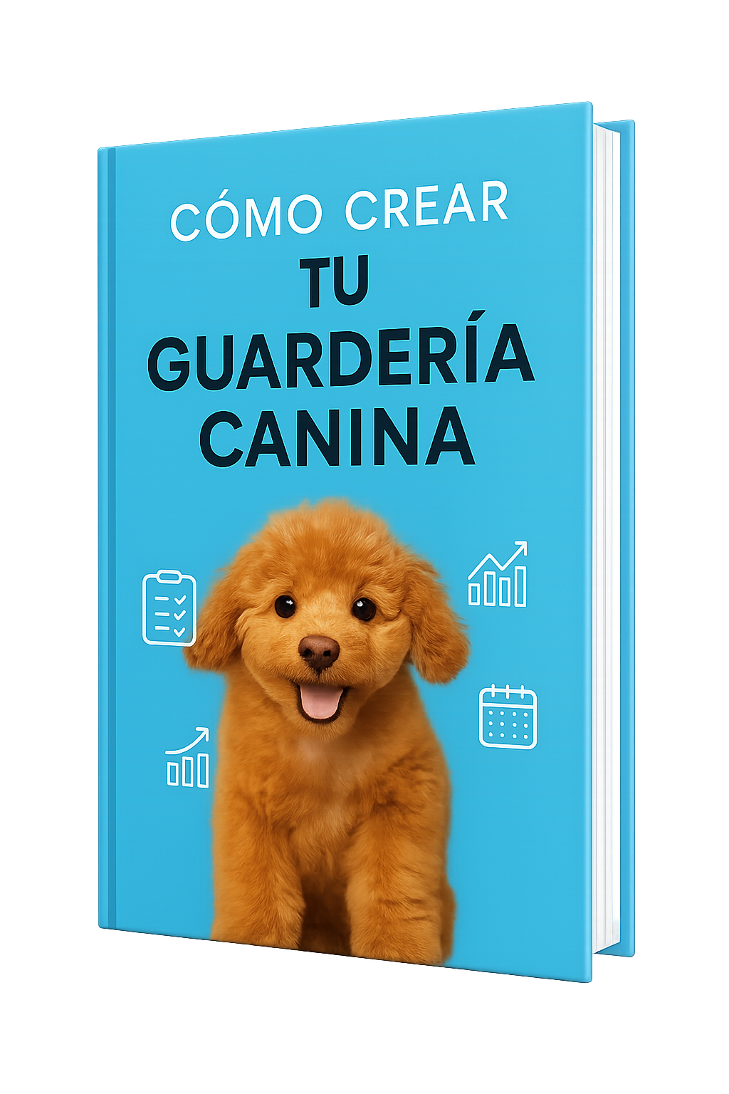 ChatGPT Image 9 de set. de 2025, 23_59_51